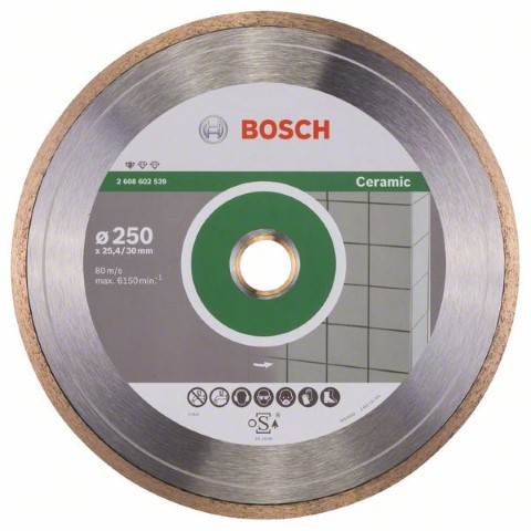 BOSCH DIAMOND CUTTING DISC STANDARD FOR CERAMIC 250 MM X 30/25.4 MM